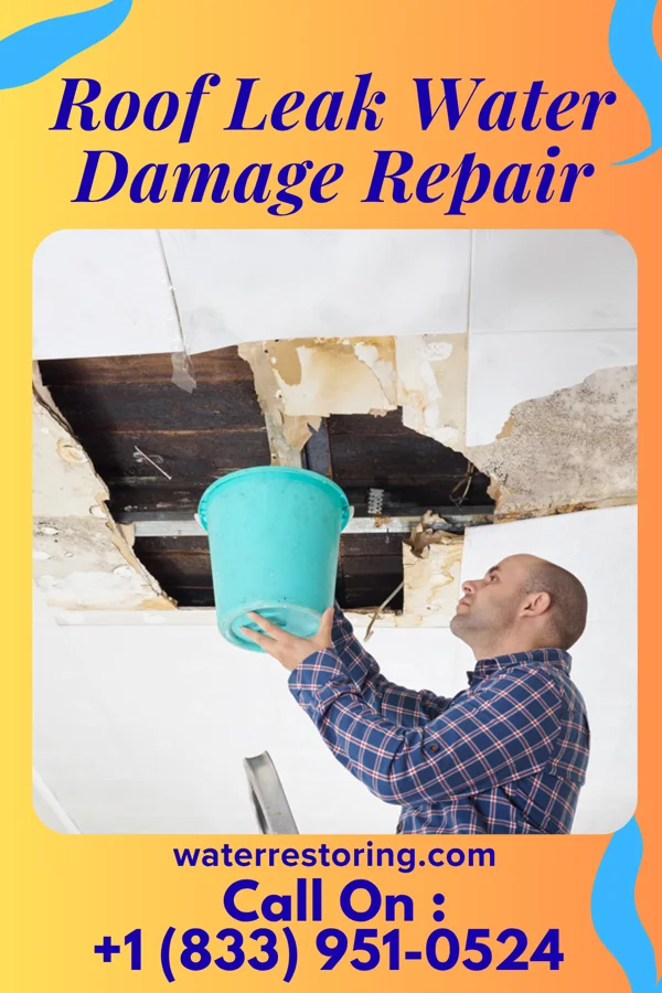 Roof Leak Water Damage Repair in Ney, OH