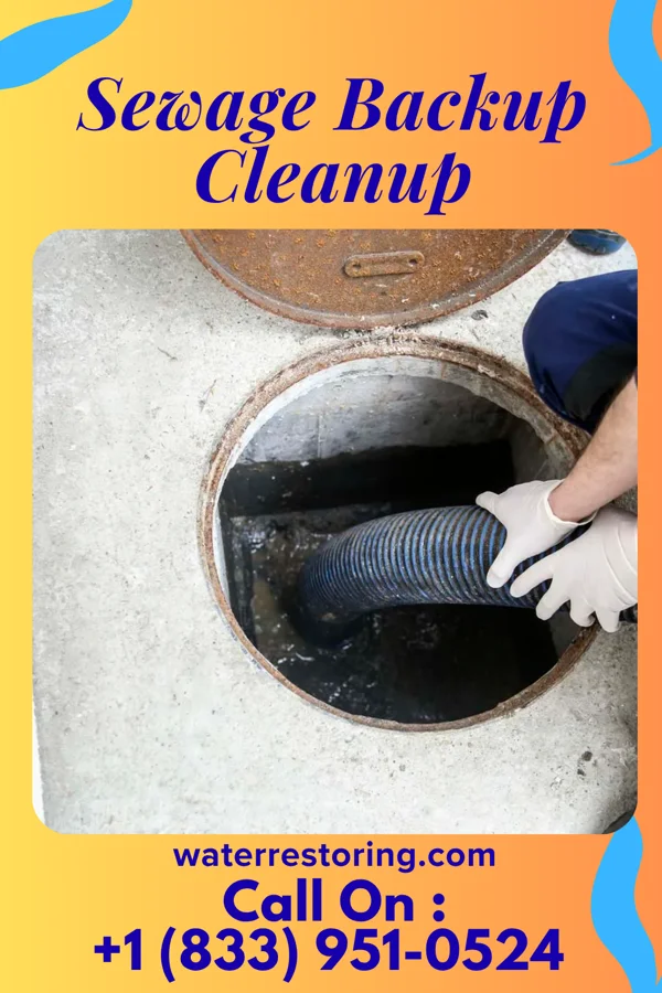 Sewage Backup Cleanup in Ney, OH