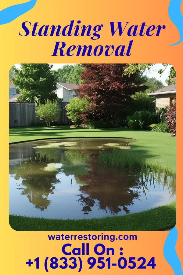 Standing Water Removal in Ney, OH